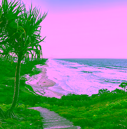 Sunshine Coast coastal landscape